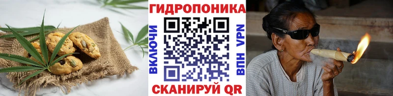 Купить закладки  Партизанск  Cannafood конопля 