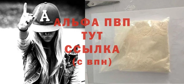 гидра Бородино