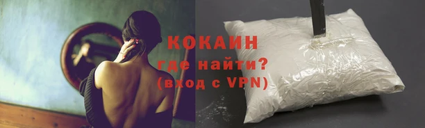 гидра Бородино