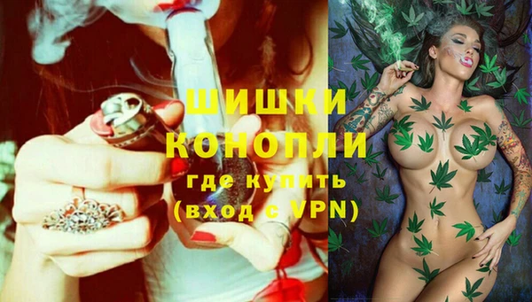 гидра Бородино