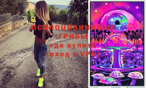гидра Бородино