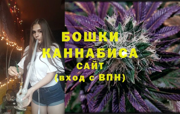 гидра Бородино