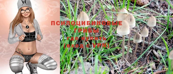 гидра Бородино